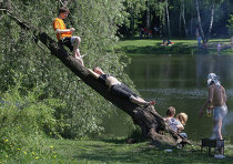 Отдых в лесопарке